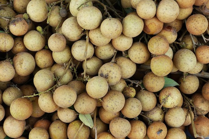 10 Days BEAUTY of INDOCHINA - Meeting and Pickup