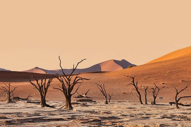 10 DAYS BEAUTY OF NAMIBIA | Private Guided Tour - Itinerary Highlights