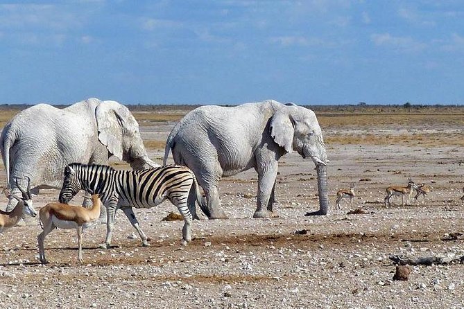 10 DAYS BEAUTY OF NAMIBIA | Private Guided Tour - Booking Information