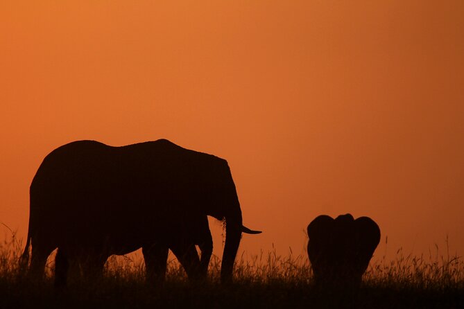 10 -Days Best of Kenya and Tanzania Classic Safari - Tour Guide Information