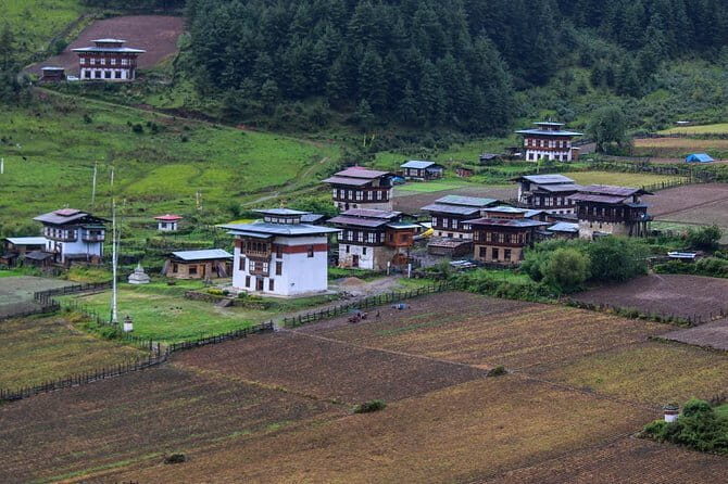 10 Days Bhutan In-depth Culture & Nature Travel Experience - FAQs