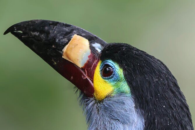 10 Days Birding Photo tour from Andes to Amazon of Ecuador - Who Should Consider This Tour?