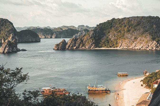 10 Days DE Hanoi to Ho Chi Minh City Tour - Who Would Enjoy This Tour?