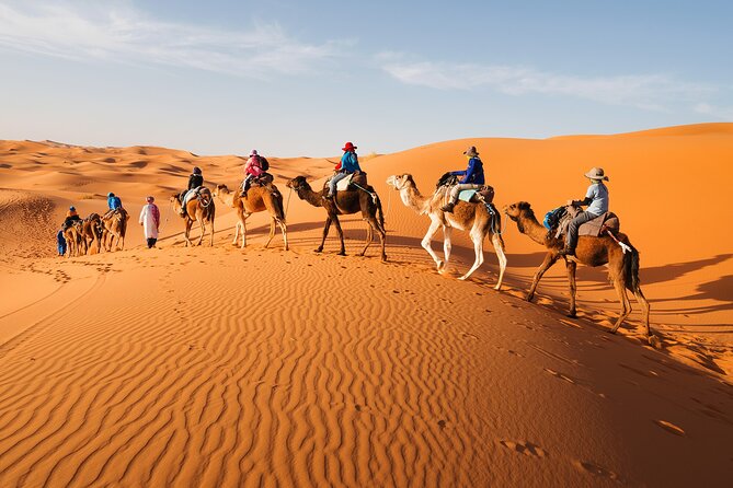 10 Days Desert Tour to Imperial Cities From Casablanca - Day 1: Casablanca to Rabat