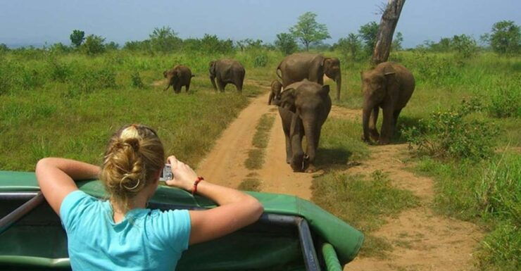 10-Days Discover Sri Lanka's Natural Beauty and Wildlife - Itinerary Overview