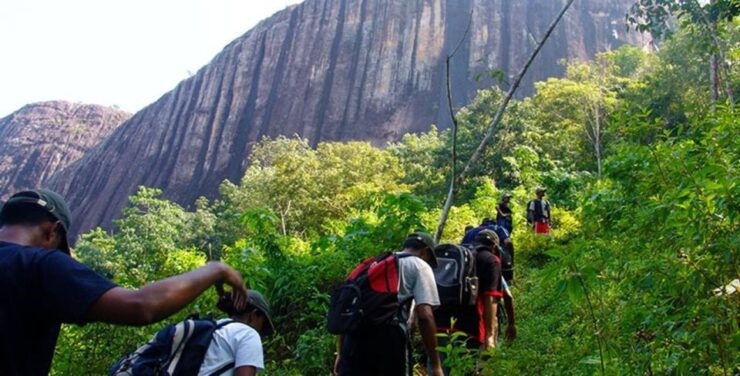 10-Days Discover Sri Lanka's Natural Beauty and Wildlife - Wildlife Encounters