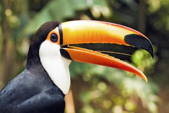 10 Days Essential Costa Rica - Package With Guanacaste From San Jose - Tour Duration and Location