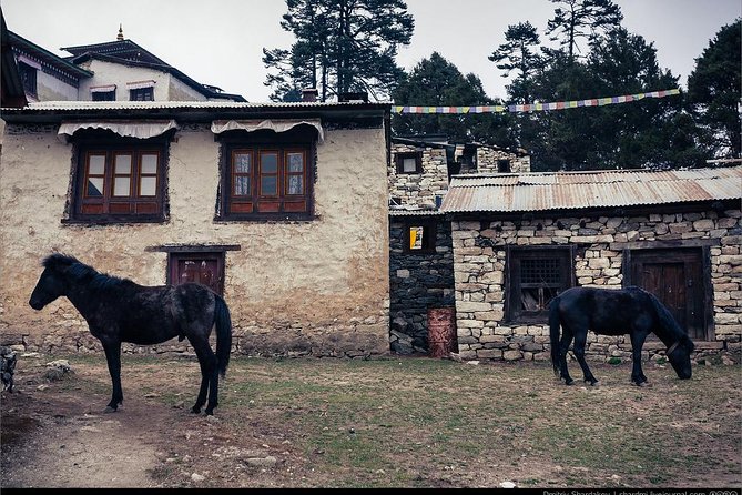 10 Days Everest Tengboche Monastery Trek - Day 3: Trek From Phakding to Namche Bazaar