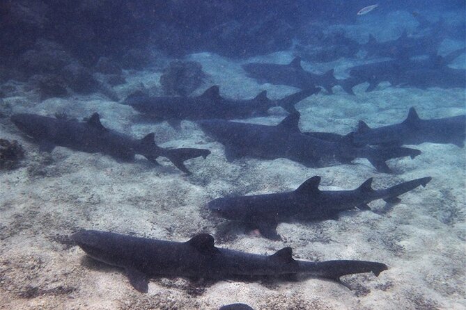 10 Days Galapagos Island Hopping - Accommodation Details