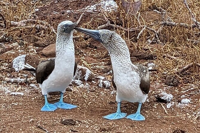 10 Days Galapagos Island Hopping - Customer Reviews