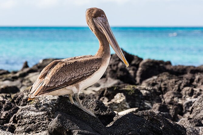 10 Days Galapagos Island Hopping - The Sum Up