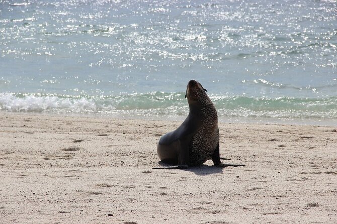 10 Days Galapagos Island Hopping: Santa Cruz & Isabela Island - Day 1: Arrival in Santa Cruz