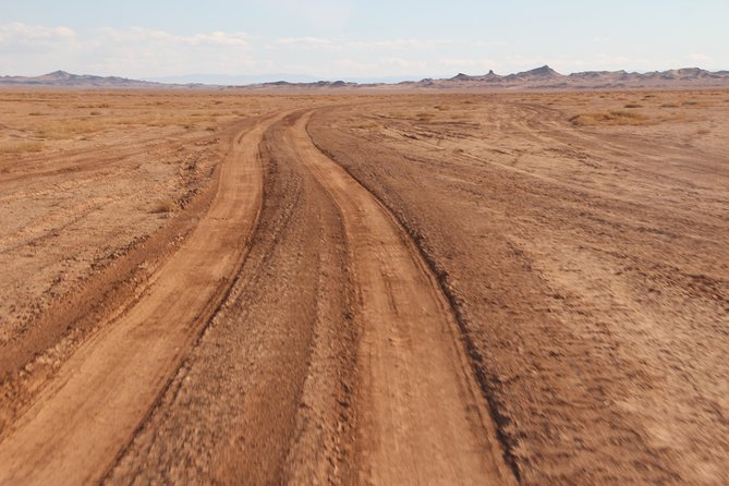 10 Days Gobi Desert and Express Mongolia - Food and Dining Experience