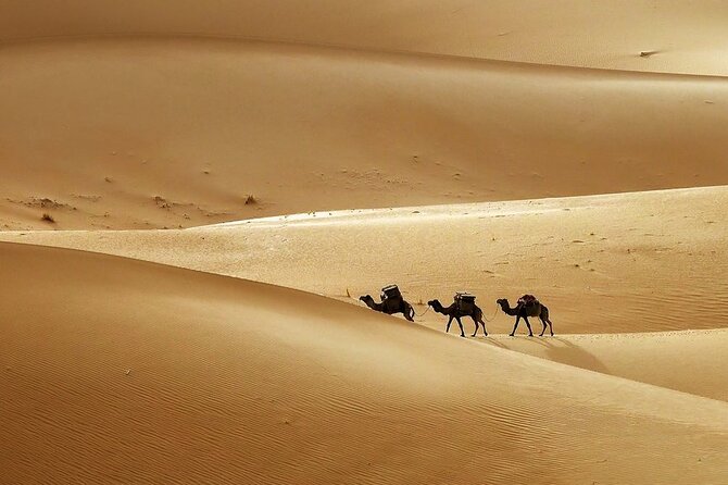 10 Days Highlight Luxury Tour of Morocco - Accommodation and Meals