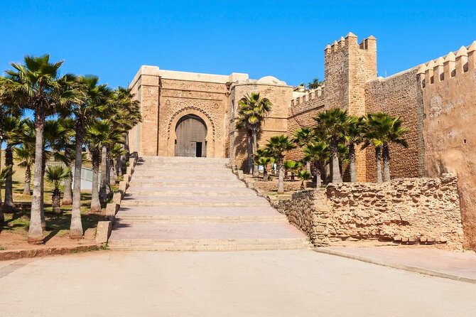 10 Days Highlight Luxury Tour of Morocco - Transportation and Guides