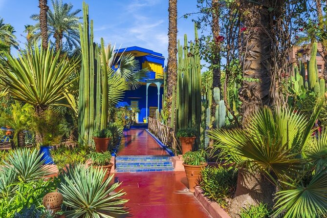10 Days Highlight Luxury Tour of Morocco - Optional Activities