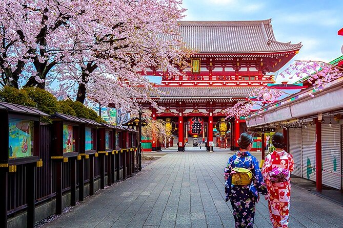10 Days In-depth Discover Japan Deluxe Tour - Day 1: Tokyo Arrival and Exploration