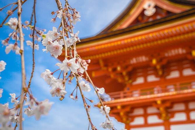 10 Days In-depth Discover Japan Deluxe Tour - Day 2: Tokyo - Mt. Fuji Experience