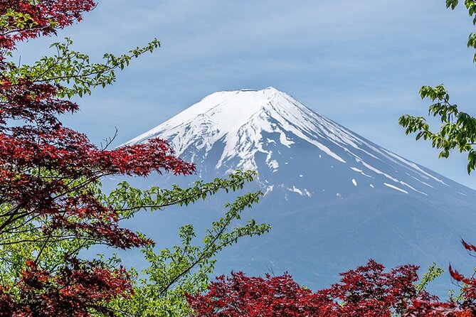 10 Days In-depth Discover Japan Deluxe Tour - Day 6: Osaka - Nara Tour