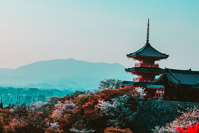 10 Days In-depth Discover Japan Deluxe Tour - Day 8: Tokyo - Cultural Experiences