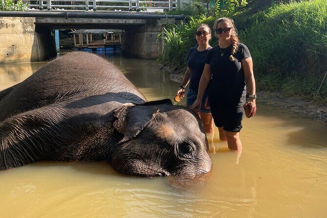 10 Days in Paradise Sri Lanka with an Expert Tour Driver - Final Thoughts and Who It’s Best For