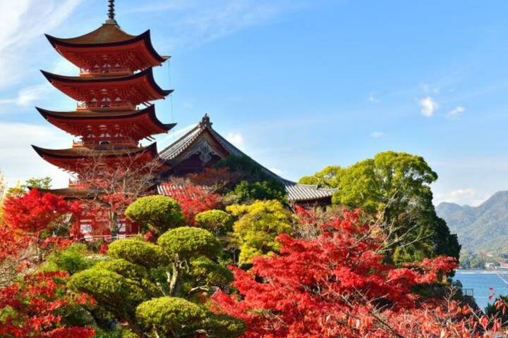 10 Days Japan Delight with Hiroshima (Private Guide No Group) by UME Travel - Nara’s deer, then Kyoto’s red gates