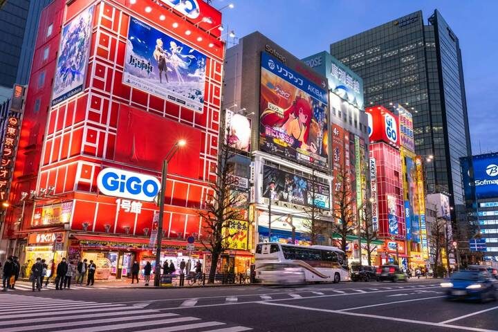 10 Days Japan Essential Family Tour with Kids (private Spanish guide & driver) by UME Travel - Hakone’s pirate ship and a ride on the Shinkansen