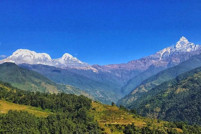 10 Days Kathmandu Chitawan Pokhara Tour With Dhampus Trek - Whats Included