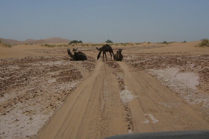 10 Days Morocco Tour From Casablanca and the Best of Morocco - Exclusions and Additional Costs