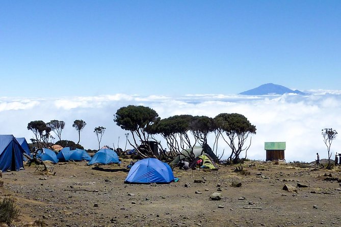 10 Days Mount Kilimanjaro Hike- Lemosho Route - Itinerary Details