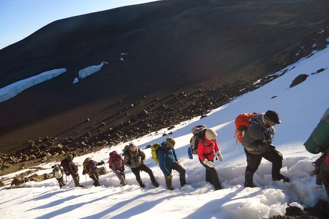 10 Days Mount Kilimanjaro Hike- Lemosho Route - Gear Provided