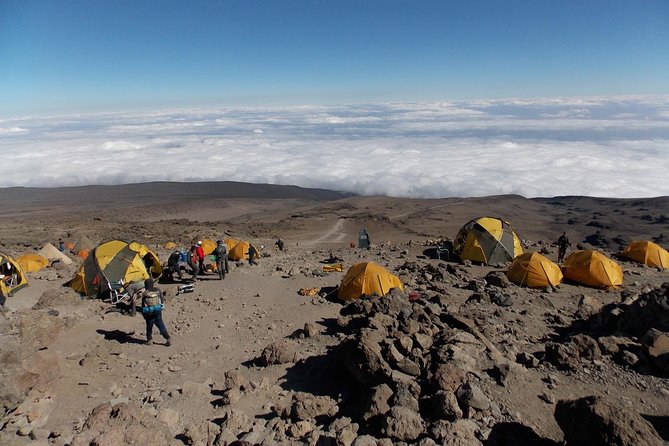 10 Days Mount Kilimanjaro Hike- Lemosho Route - Health and Safety Guidelines