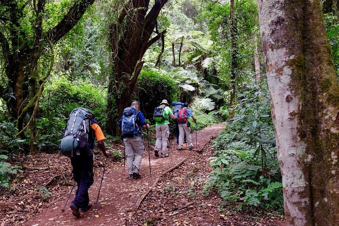 10 Days Mount Kilimanjaro Hike- Lemosho Route - Meeting and Pickup Instructions