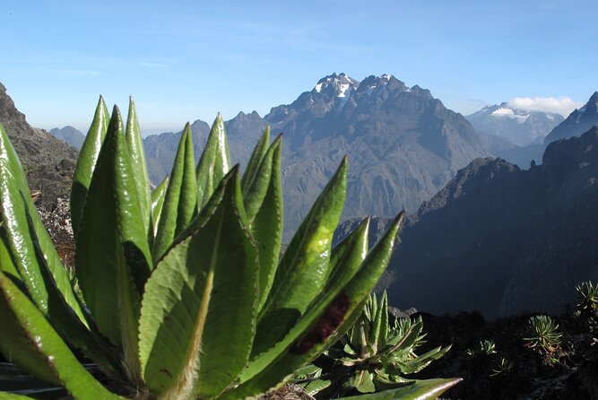 10 Days Mountain Rwenzori Hike - Meeting and Pickup Details