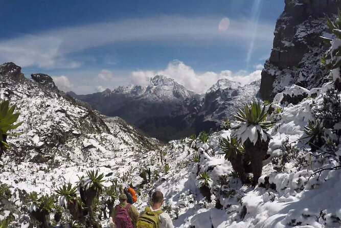 10 Days Mountain Rwenzori Hike - Cancellation Policy Details