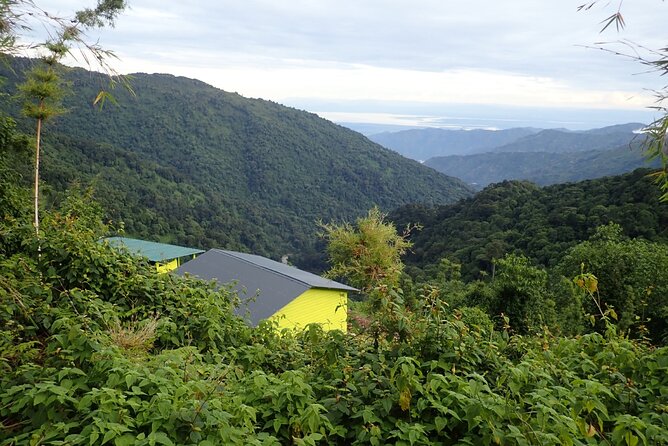 10 Days Mountain Rwenzori Hike - Price Information