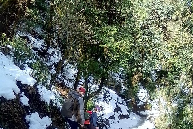 10 Days Nepal Trip - Heritage Kathmandu - Natural Pokhara and Poon Hill Trek - Inclusions and Accommodation