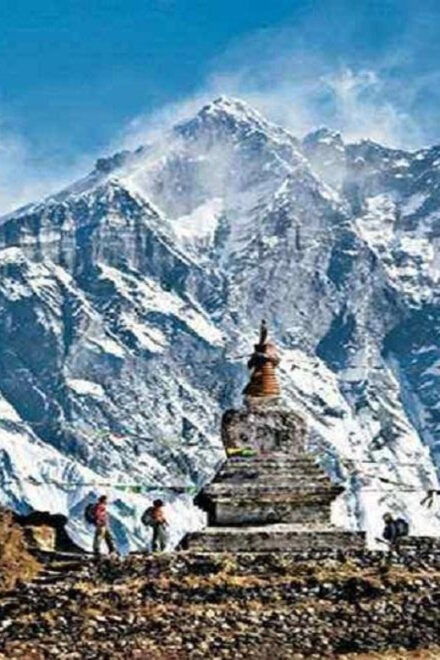 10 Days Nepal Wildlife and Bird Sanctuary Tour - Accommodation and Meals
