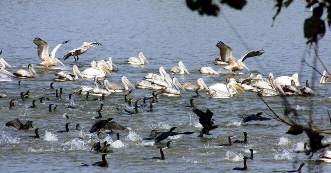 10 Days Nepal Wildlife and Bird Sanctuary Tour - Important Travel Information