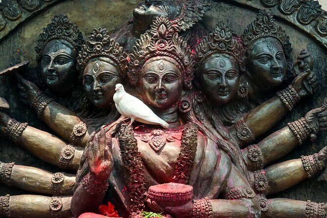 10 Days Of Private Meghalaya and Assam Experience - Authentic Experiences and Practical Insights