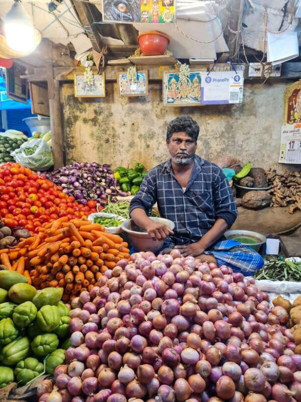 10 Days Private Car and Driver Tour of Tamilnadu & Kerala !! - The Value of This Tour