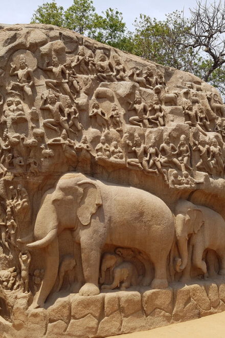 10 Days Private Car and Driver Tour of Tamilnadu & Kerala !! - Inclusions and Exclusions
