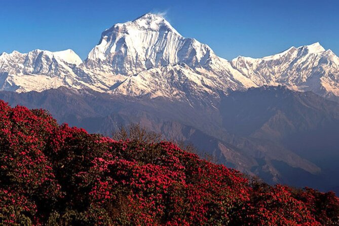 10 Days Private Guided Annapurna Basecamp Trek via Poon Hill - Trek Itinerary