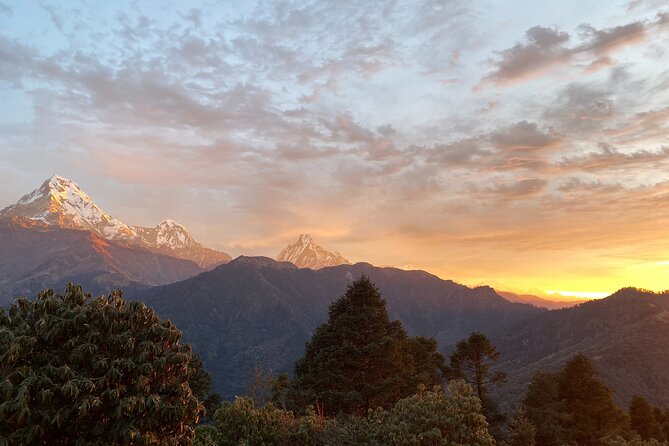 10 Days Private Guided Annapurna Basecamp Trek via Poon Hill - Reviews and Ratings