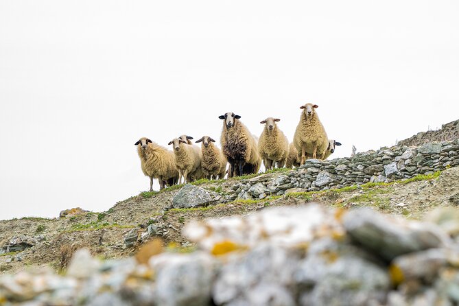 10 Days Private Island Secrets Adrift In Greece Hidden Gems - Accommodation Options