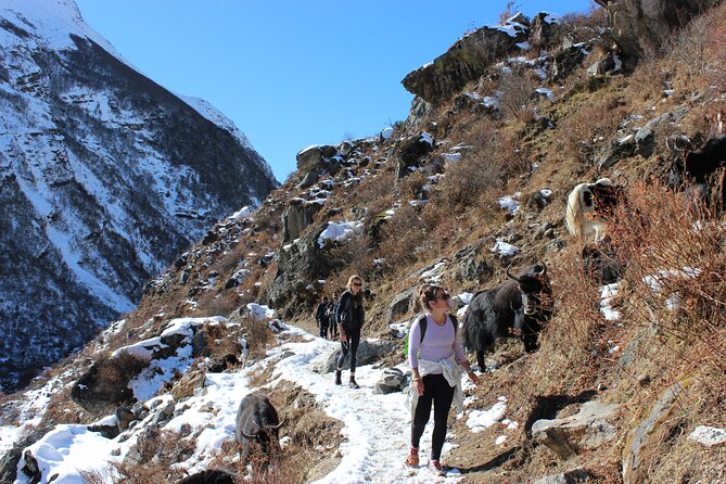 10-Days Private Langtang Valley Trek in Nepal - Booking and Contact Information