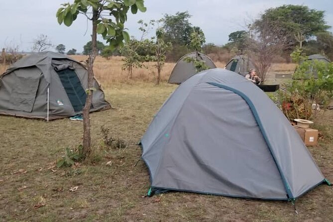10 Days Private Mobile Safari Tour in Zambia National Parks - Additional Information