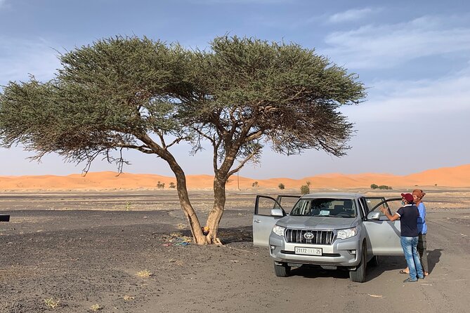 10-Days Private Morocco Tours & Sahara Desert From Casablanca - Cultural Immersion