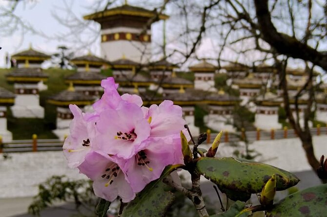 10 Days Private Tour in Central Bhutan - Good To Know
