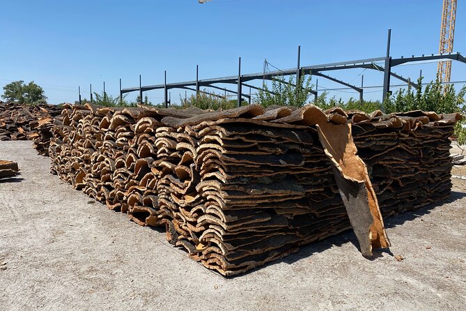 10 Days Private Tour in Portugal - Accommodation and Transportation